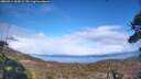 ./images/calvert/fitz-hugh-hecate/20260414/fitz-hugh-hecate20260414_164501M.jpg