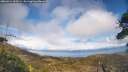 ./images/calvert/fitz-hugh-hecate/20260414/fitz-hugh-hecate20260414_165501M.jpg