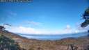 ./images/calvert/fitz-hugh-hecate/20260414/fitz-hugh-hecate20260414_172001M.jpg