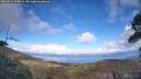 ./images/calvert/fitz-hugh-hecate/20260414/fitz-hugh-hecate20260414_174001M.jpg