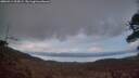 ./images/calvert/fitz-hugh-hecate/20260414/fitz-hugh-hecate20260414_204502M.jpg