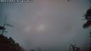 ./images/calvert/fitz-hugh-hecate/20260415/fitz-hugh-hecate20260415_060501M.jpg
