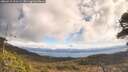 ./images/calvert/fitz-hugh-hecate/20260415/fitz-hugh-hecate20260415_111501M.jpg