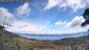 ./images/calvert/fitz-hugh-hecate/20260415/fitz-hugh-hecate20260415_115001M.jpg