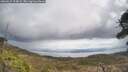 ./images/calvert/fitz-hugh-hecate/20260415/fitz-hugh-hecate20260415_124002M.jpg