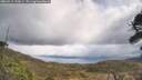 ./images/calvert/fitz-hugh-hecate/20260415/fitz-hugh-hecate20260415_130001M.jpg