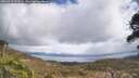 ./images/calvert/fitz-hugh-hecate/20260415/fitz-hugh-hecate20260415_132002M.jpg
