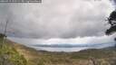 ./images/calvert/fitz-hugh-hecate/20260415/fitz-hugh-hecate20260415_132501M.jpg