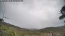 ./images/calvert/fitz-hugh-hecate/20260415/fitz-hugh-hecate20260415_134001M.jpg