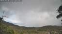 ./images/calvert/fitz-hugh-hecate/20260415/fitz-hugh-hecate20260415_134501M.jpg