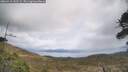./images/calvert/fitz-hugh-hecate/20260415/fitz-hugh-hecate20260415_142501M.jpg