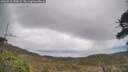 ./images/calvert/fitz-hugh-hecate/20260415/fitz-hugh-hecate20260415_145002M.jpg