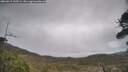 ./images/calvert/fitz-hugh-hecate/20260415/fitz-hugh-hecate20260415_145501M.jpg