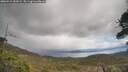 ./images/calvert/fitz-hugh-hecate/20260415/fitz-hugh-hecate20260415_153501M.jpg