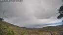 ./images/calvert/fitz-hugh-hecate/20260415/fitz-hugh-hecate20260415_154001M.jpg