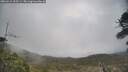 ./images/calvert/fitz-hugh-hecate/20260415/fitz-hugh-hecate20260415_155501M.jpg
