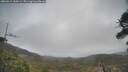 ./images/calvert/fitz-hugh-hecate/20260415/fitz-hugh-hecate20260415_160501M.jpg