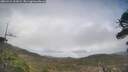 ./images/calvert/fitz-hugh-hecate/20260415/fitz-hugh-hecate20260415_161001M.jpg