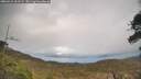./images/calvert/fitz-hugh-hecate/20260415/fitz-hugh-hecate20260415_163501M.jpg