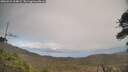 ./images/calvert/fitz-hugh-hecate/20260415/fitz-hugh-hecate20260415_164002M.jpg
