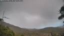 ./images/calvert/fitz-hugh-hecate/20260415/fitz-hugh-hecate20260415_174501M.jpg