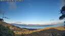./images/calvert/fitz-hugh-hecate/20260415/fitz-hugh-hecate20260415_193501M.jpg