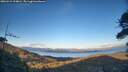 ./images/calvert/fitz-hugh-hecate/20260415/fitz-hugh-hecate20260415_194001M.jpg