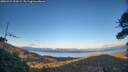 ./images/calvert/fitz-hugh-hecate/20260415/fitz-hugh-hecate20260415_194502M.jpg