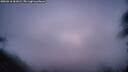 ./images/calvert/fitz-hugh-hecate/20260416/fitz-hugh-hecate20260416_061001M.jpg