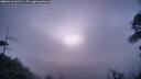 ./images/calvert/fitz-hugh-hecate/20260416/fitz-hugh-hecate20260416_061501M.jpg