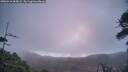 ./images/calvert/fitz-hugh-hecate/20260416/fitz-hugh-hecate20260416_065002M.jpg