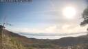 ./images/calvert/fitz-hugh-hecate/20260416/fitz-hugh-hecate20260416_091002M.jpg