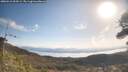 ./images/calvert/fitz-hugh-hecate/20260416/fitz-hugh-hecate20260416_094501M.jpg