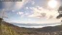 ./images/calvert/fitz-hugh-hecate/20260416/fitz-hugh-hecate20260416_095502M.jpg