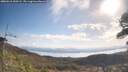 ./images/calvert/fitz-hugh-hecate/20260416/fitz-hugh-hecate20260416_100501M.jpg