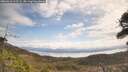 ./images/calvert/fitz-hugh-hecate/20260416/fitz-hugh-hecate20260416_113501M.jpg