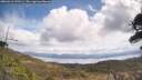 ./images/calvert/fitz-hugh-hecate/20260416/fitz-hugh-hecate20260416_123501M.jpg