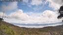 ./images/calvert/fitz-hugh-hecate/20260416/fitz-hugh-hecate20260416_124501M.jpg