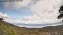 ./images/calvert/fitz-hugh-hecate/20260416/fitz-hugh-hecate20260416_131501M.jpg