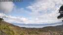 ./images/calvert/fitz-hugh-hecate/20260416/fitz-hugh-hecate20260416_132501M.jpg