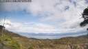 ./images/calvert/fitz-hugh-hecate/20260416/fitz-hugh-hecate20260416_140002M.jpg