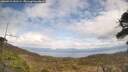 ./images/calvert/fitz-hugh-hecate/20260416/fitz-hugh-hecate20260416_141501M.jpg