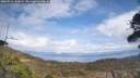 ./images/calvert/fitz-hugh-hecate/20260416/fitz-hugh-hecate20260416_143001M.jpg