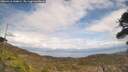 ./images/calvert/fitz-hugh-hecate/20260416/fitz-hugh-hecate20260416_144002M.jpg