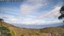 ./images/calvert/fitz-hugh-hecate/20260416/fitz-hugh-hecate20260416_152501M.jpg