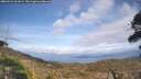 ./images/calvert/fitz-hugh-hecate/20260416/fitz-hugh-hecate20260416_161001M.jpg