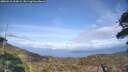 ./images/calvert/fitz-hugh-hecate/20260416/fitz-hugh-hecate20260416_162001M.jpg