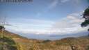 ./images/calvert/fitz-hugh-hecate/20260416/fitz-hugh-hecate20260416_162501M.jpg