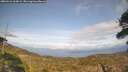 ./images/calvert/fitz-hugh-hecate/20260416/fitz-hugh-hecate20260416_163001M.jpg