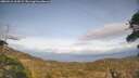 ./images/calvert/fitz-hugh-hecate/20260416/fitz-hugh-hecate20260416_164501M.jpg
